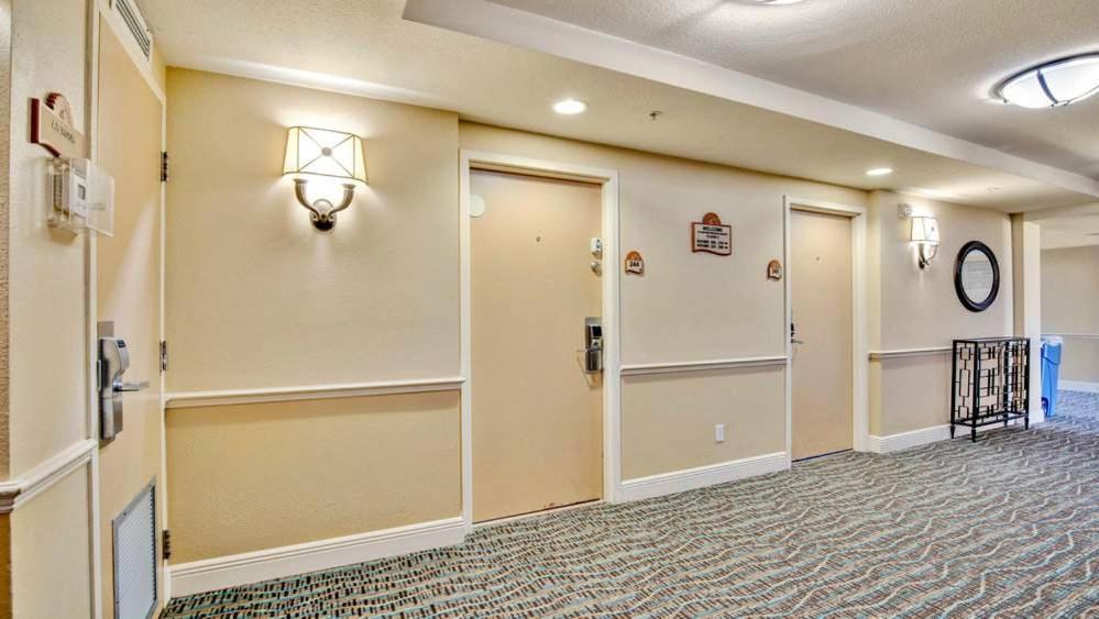 Oceanfront Studio In Daytona Beach Resort Luaran gambar